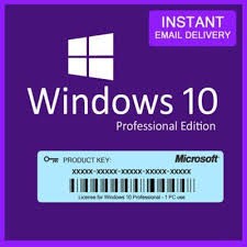 Windows 10 Pro License Key-BX100101